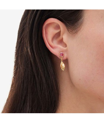 Pendientes Victoria Cruz...