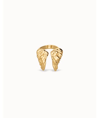 Anillo Uno de 50...