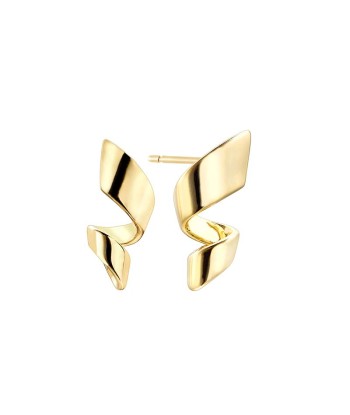 Pendientes Duran Exquse...