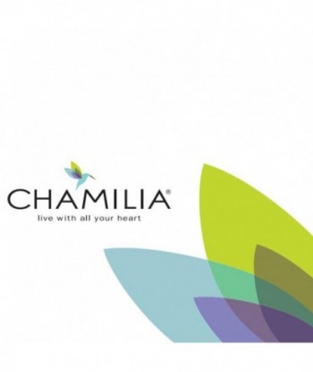 Charm Chamilia 2010-3205 Gorro de graduación Charms de plata
